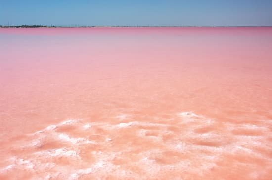 canva pink salt lake MAEE0a VegI