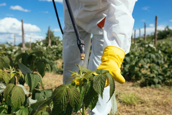 canva plantation spraying MADFWeZpdeg