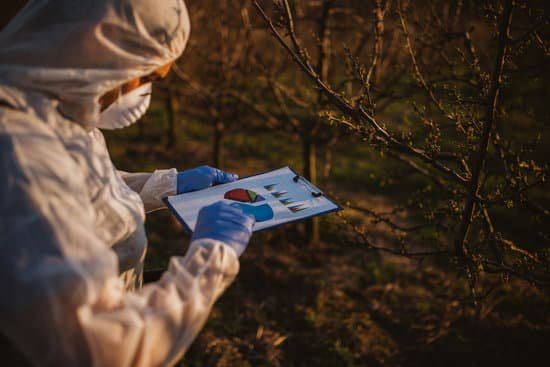 canva plantation spraying MAEI18kL 38