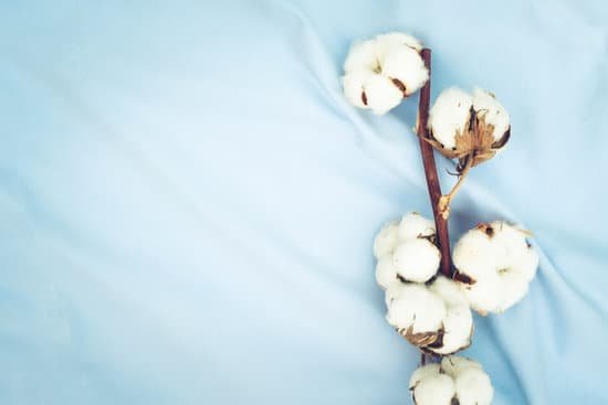 canva raw cotton buds on cotton texture MADE1oP7fkk
