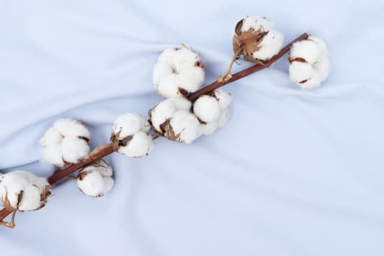 canva raw cotton buds on cotton texture MADE1sR8Ek0