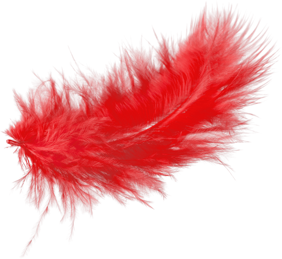 canva red feather cutout MADFHVzGVvA