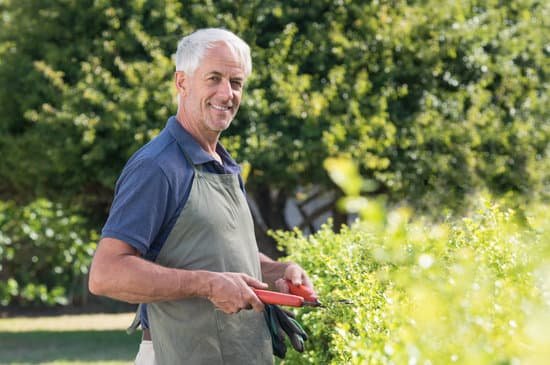 canva retired man gardening MADar7emQYw