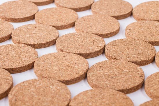 canva round cork washers MADaAneChBs