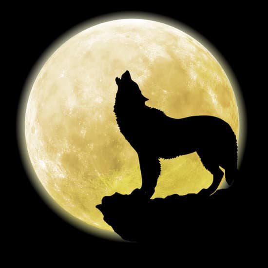 canva silhouette of a wolf in front of the moon MADerTU bGE