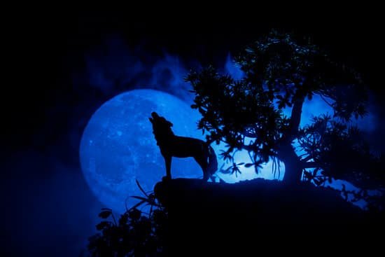 canva silhouette of howling wolf against dark toned foggy background and full moon or wolf in silhouette howling to the full moon. halloween horror concept.