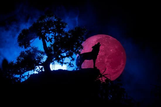 canva silhouette of howling wolf against dark toned foggy background and full moon or wolf in silhouette howling to the full moon. halloween horror concept. MADesd5s BU