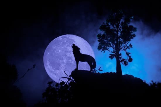 canva silhouette of howling wolf against dark toned foggy background and full moon or wolf in silhouette howling to the full moon. halloween horror concept. MADesdyH as