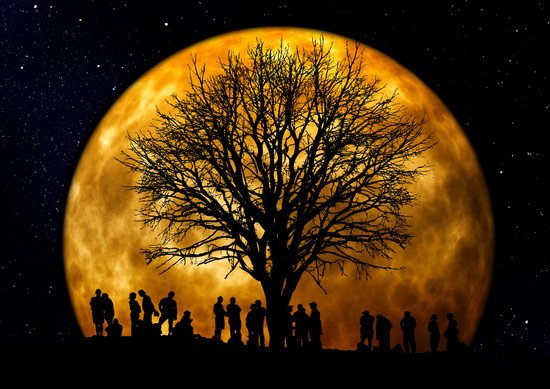 canva silhouette of people standing neat tree under the moon