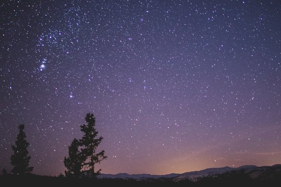 canva silhouette of spruce trees under starry night MADGwHFEXs0