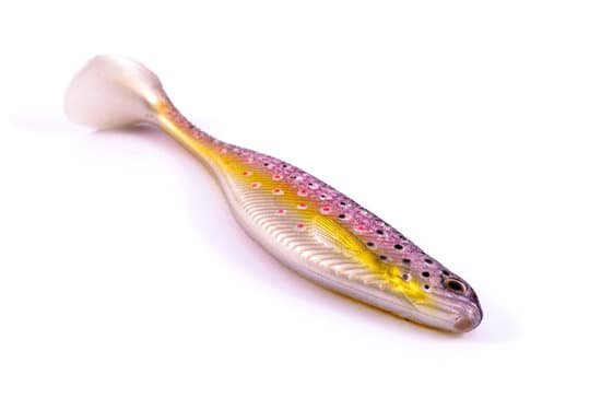 canva silicone fish MADAaULtI9c