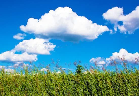 canva sky MAC9fzPSbdY