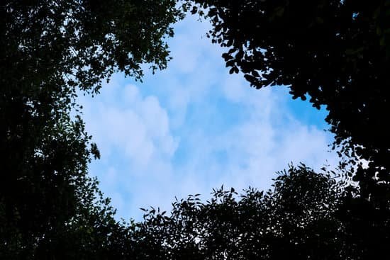 canva sky MADKMEgCH7k