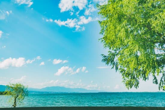 canva sky over blue sea with a tree MAEMss8Zamc