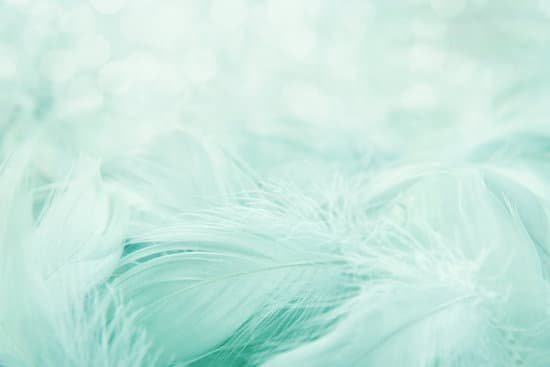 canva soft fluffy feathers MADerDBaf8s