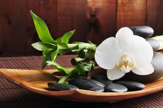 canva spa MAC6Af93iOA