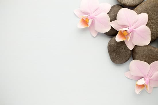 canva spa. MADA1Ls6Z04