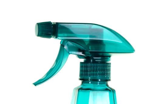 canva spray bottle