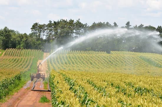 canva spray irrigation MADA dSAaYk