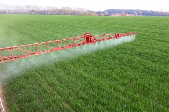 canva spraying MADBe7cHLJc