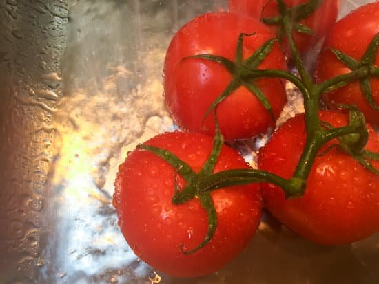 canva spraying tomatos MAEEg5Wi4so