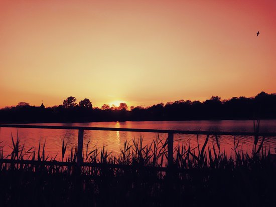 canva sunset lake
