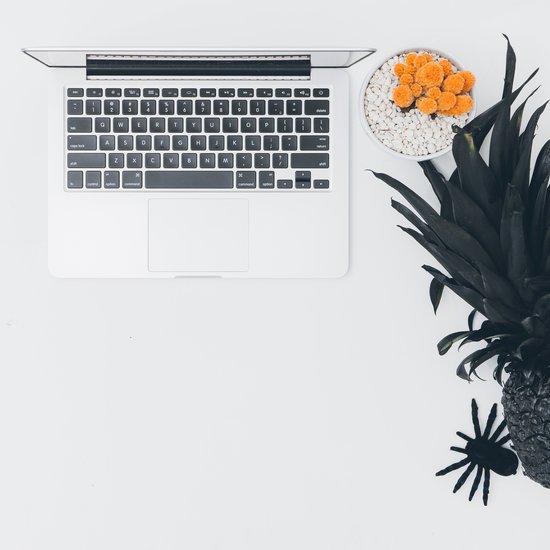 canva top view of laptop beside bowl pineapple and spider toy