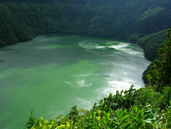 canva topview of lake surrounded by green leafed tress MADGx3 J0eQ