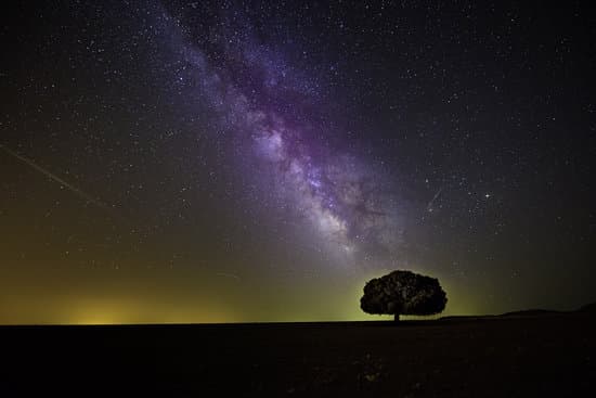 canva tree silhouette under starry sky MADQ4wsqPLM