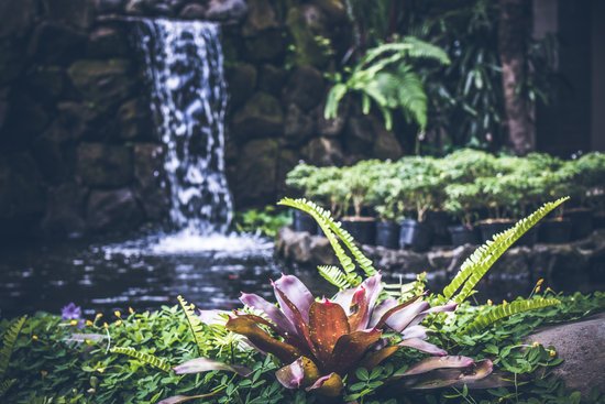 canva tropical garden waterfall on exotic island bali indonesia.