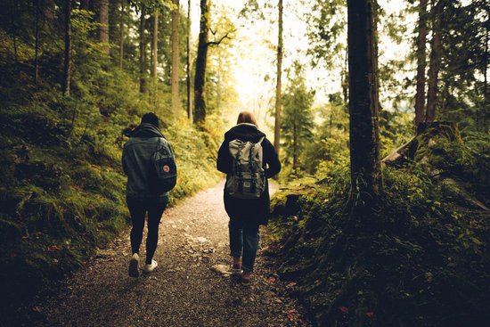 canva two people walking in the forest