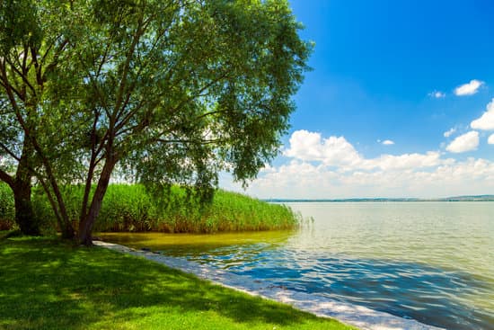 canva view of lake balaton hungary in summer MAD7EiLl9wk