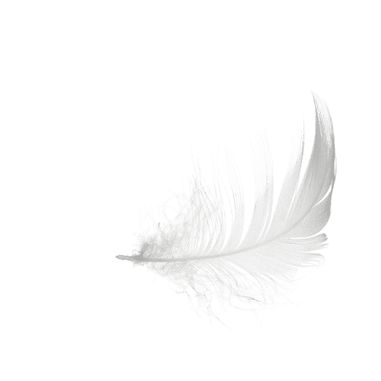 canva white feather