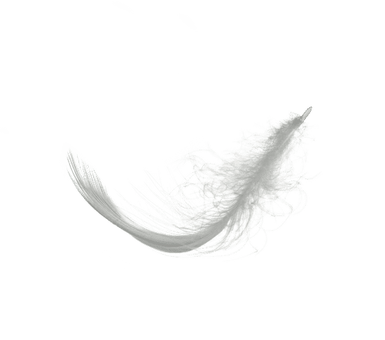 canva white feather isolated MACBYGgzIOc