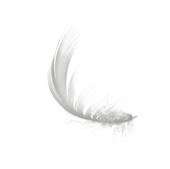 canva white feather isolated MACBYOGuRMo