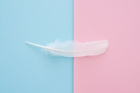 canva white feather on blue and pink paper trend colors background MADarcWLSCM