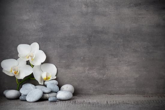 canva white orchid and spa stones on the grey background. MADatApo AY