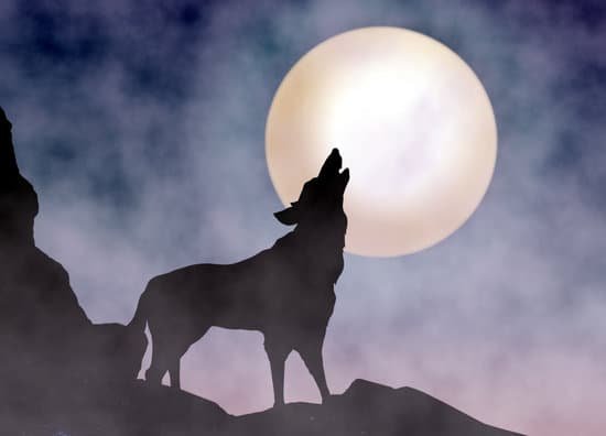 canva wolf howling at moonlight MADerLgLSjo