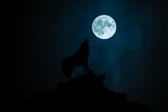 canva wolf howling at the moon MADer0AWBnA