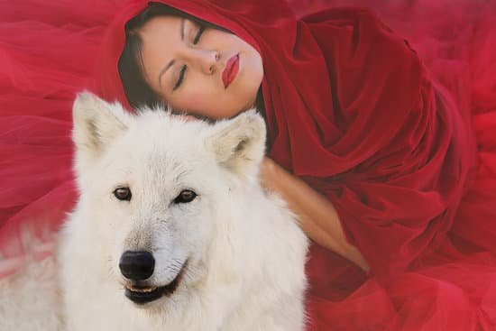 canva woman with a white wolf MABHHXSDtcQ