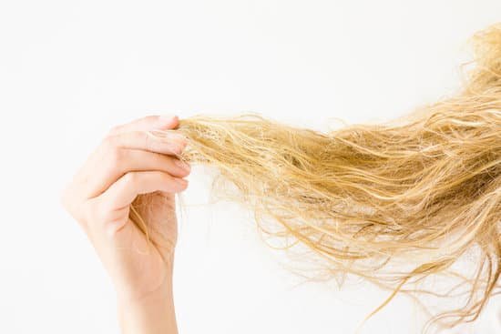 canva womans hand holding wet blonde tangled hair after washing on the white background. hair problem and solution. daily womens issues.