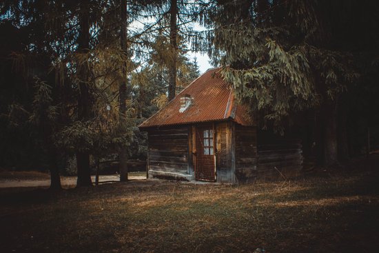 canva wooden house in a forest MADGyEtOSJU