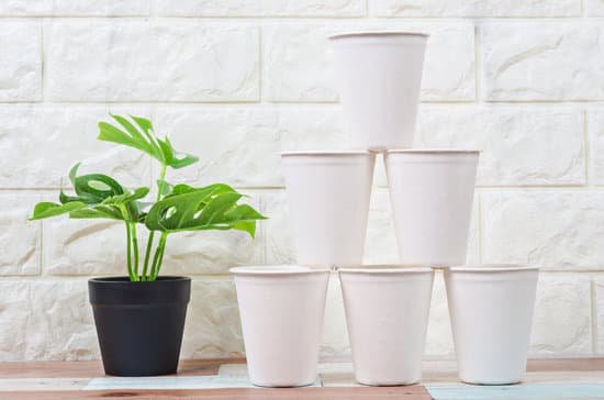 biodegradable022