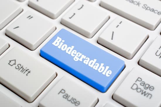 biodegradable041