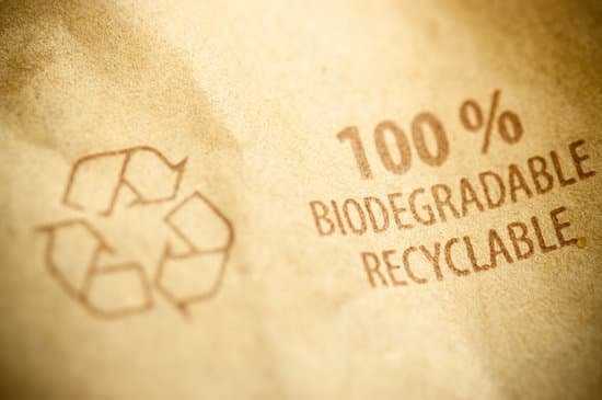 biodegradable056