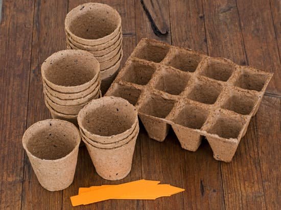 biodegradable061