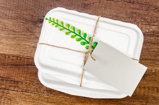 biodegradable089