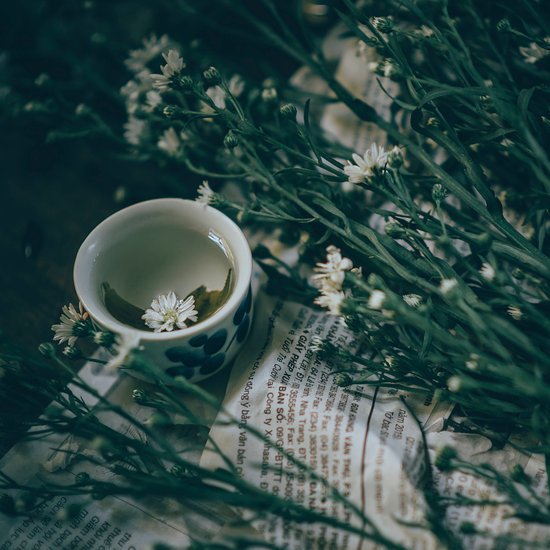 porcelain084